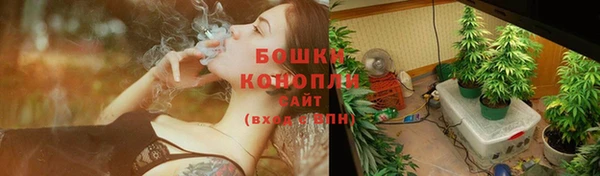spice Коряжма