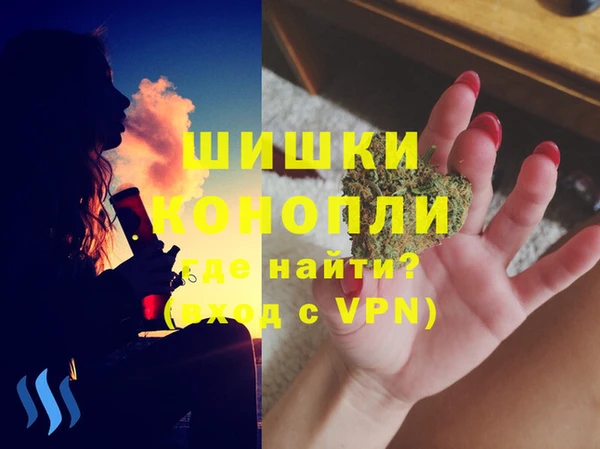 шишки Новосибирск