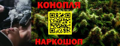 гидропоника Можга