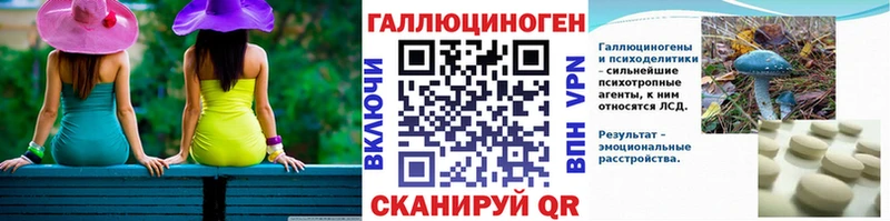 Псилоцибиновые грибы Psilocybine cubensis  Черняховск 